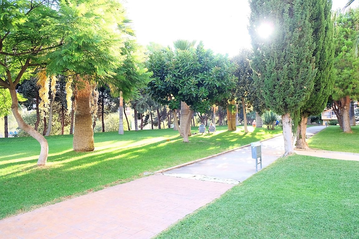 Studie ferie i Arroyo de la Miel (Benalmádena)