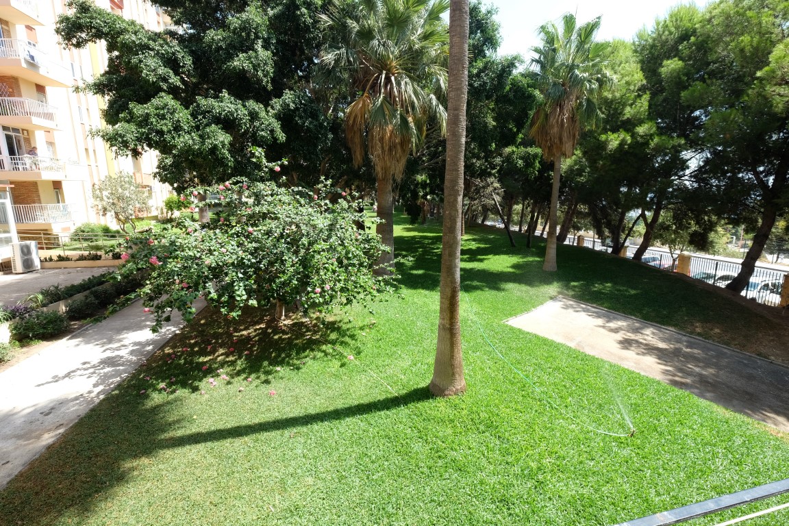 Estudo de vacacionais en Arroyo de la Miel (Benalmádena)