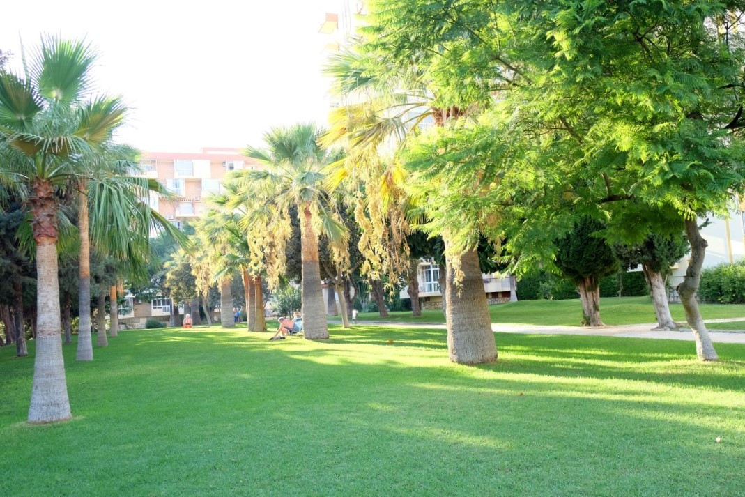 Studie ferie i Arroyo de la Miel (Benalmádena)