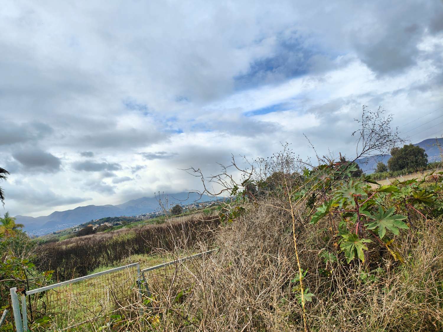 ???? OPORTUNIDAD ÚNICA: MAGNÍFICA FINCA RÚSTICA EN VENTA ????