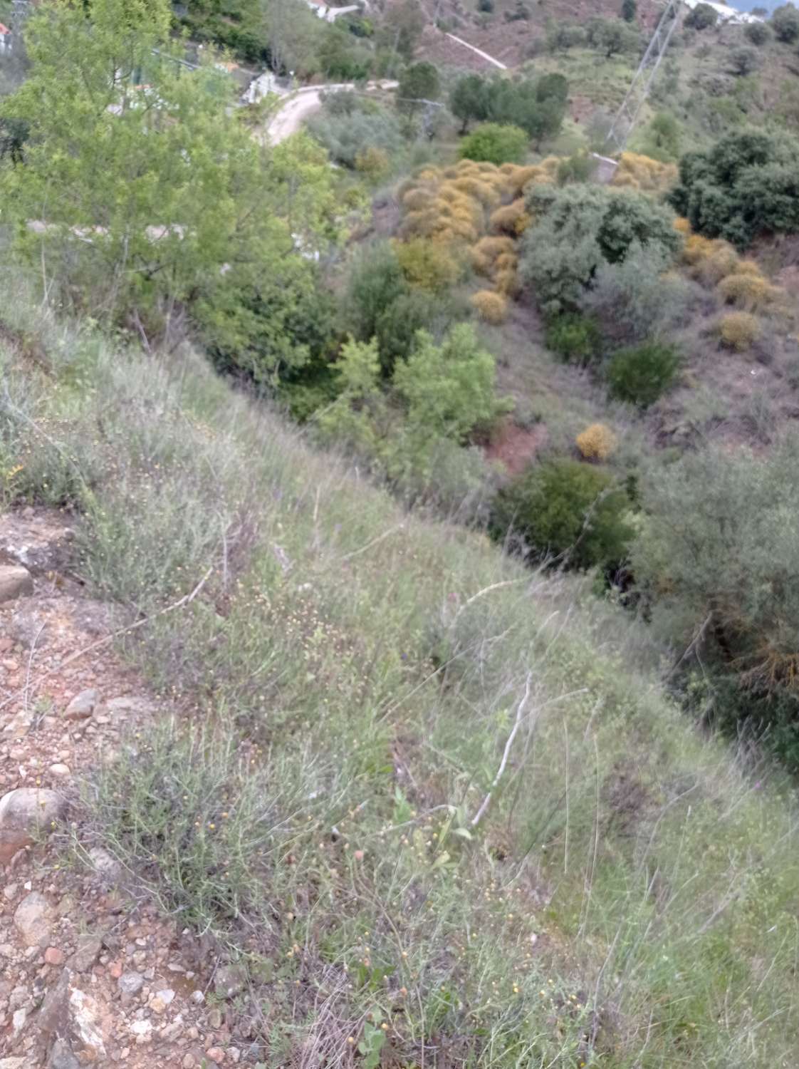 Plot for sale in Riogordo