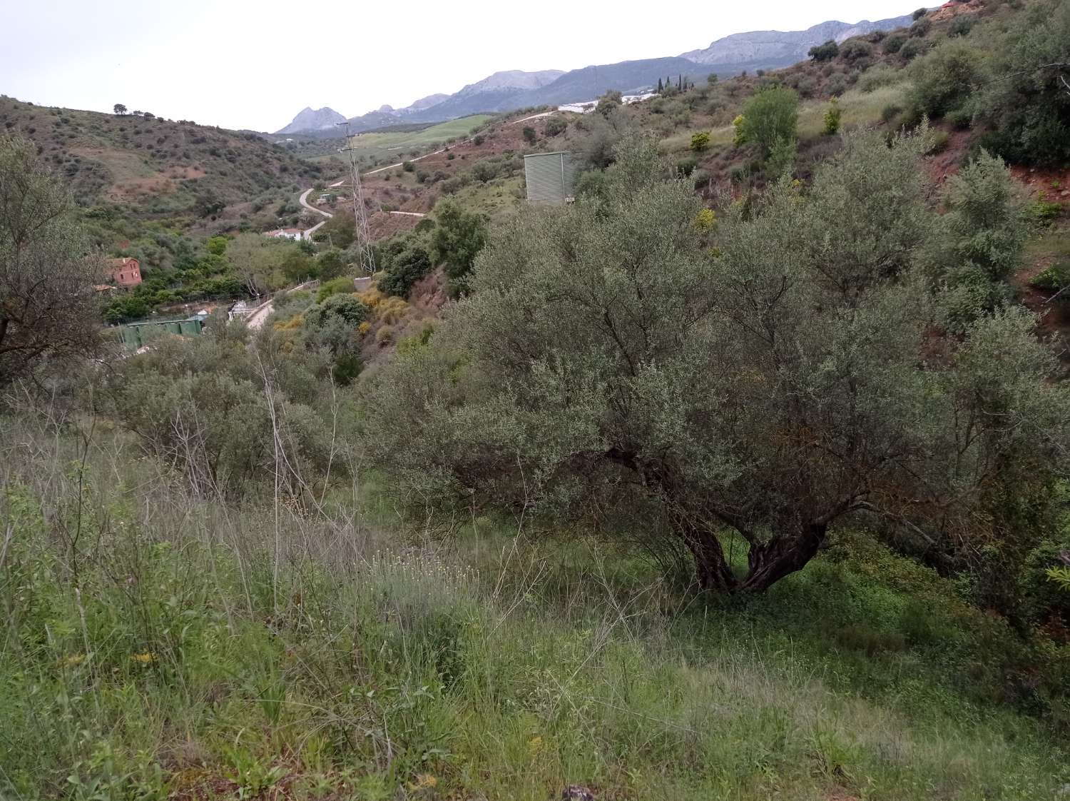 Plot en venda in Riogordo