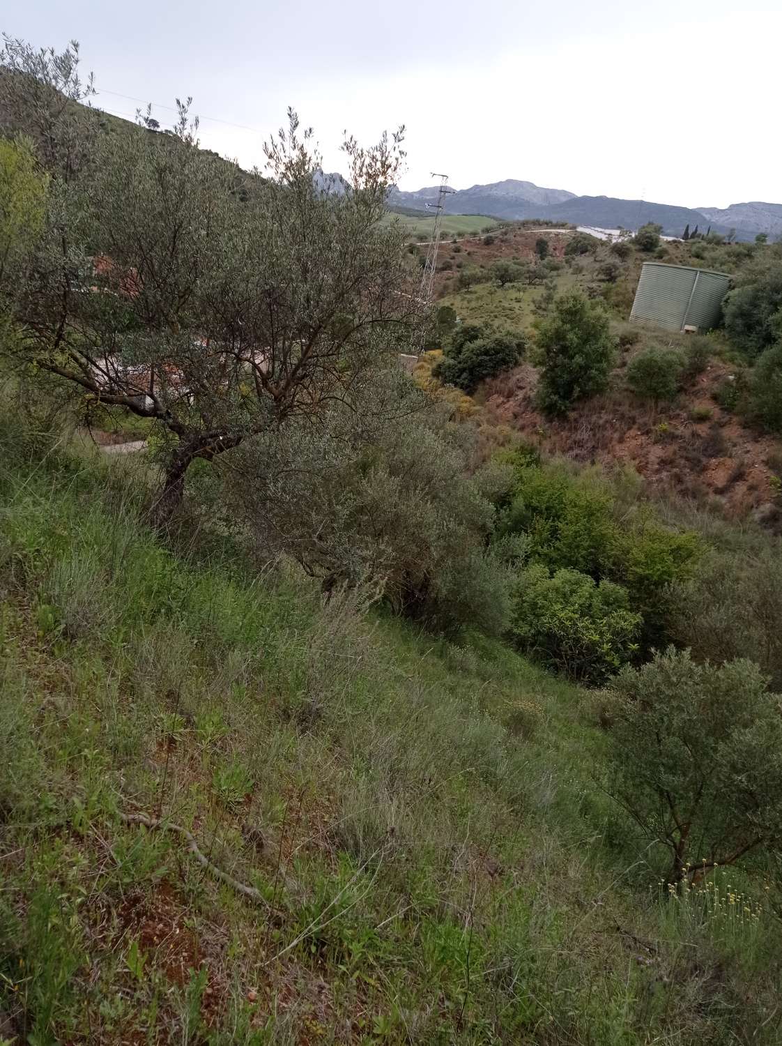 Plot for sale in Riogordo