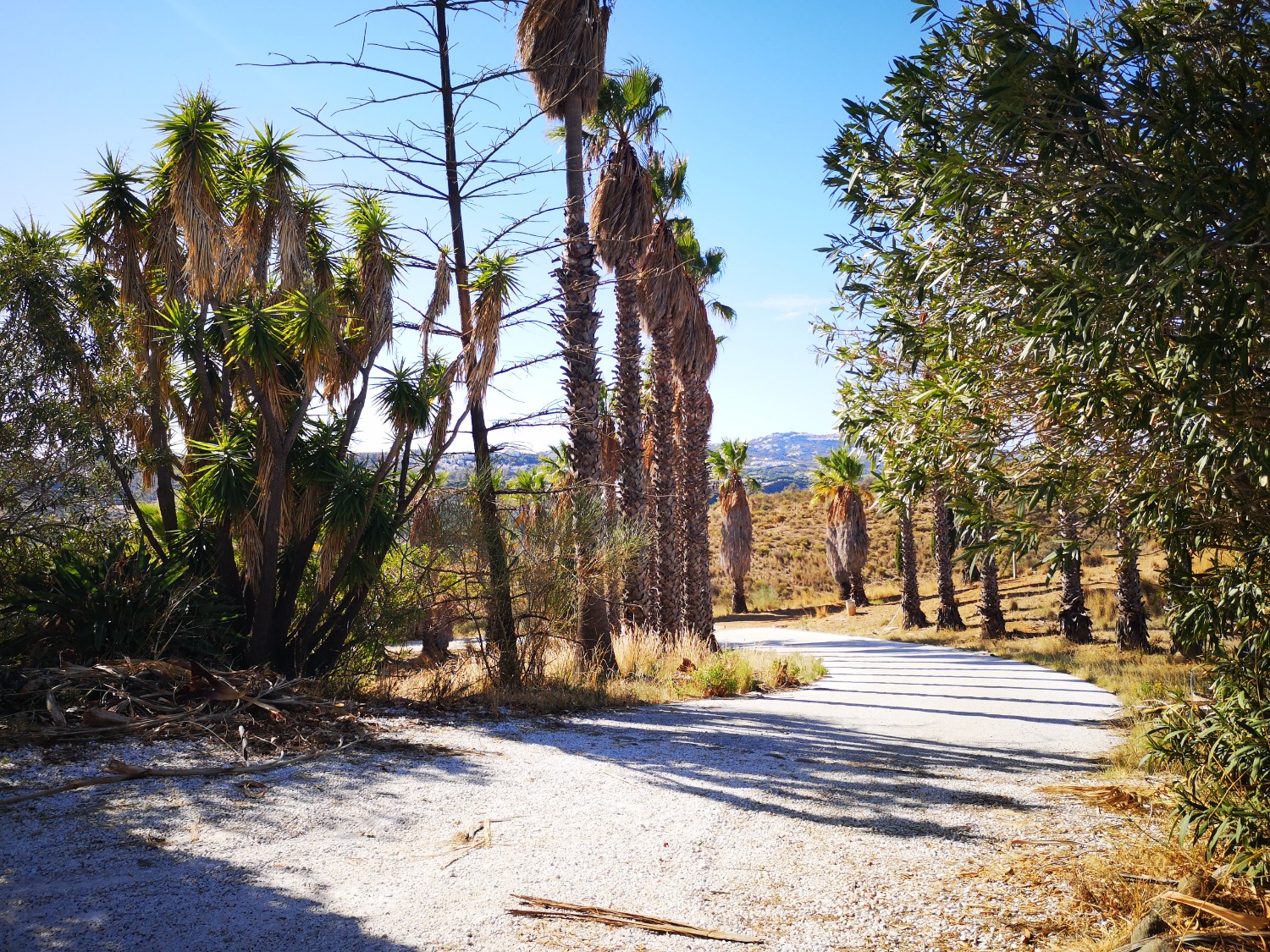 Vila v prodeji in Mijas Golf