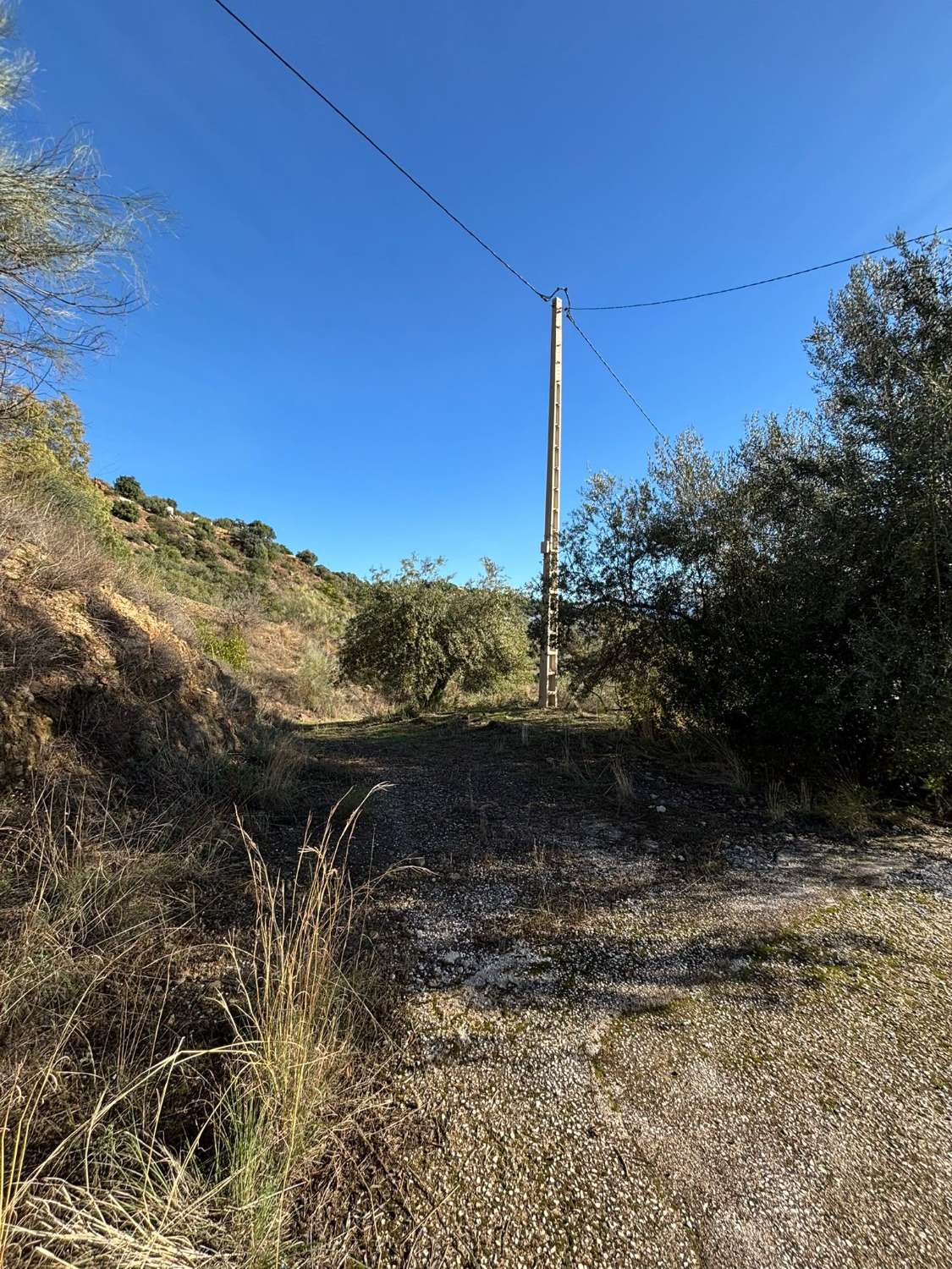 Finca en venta en Colmenar