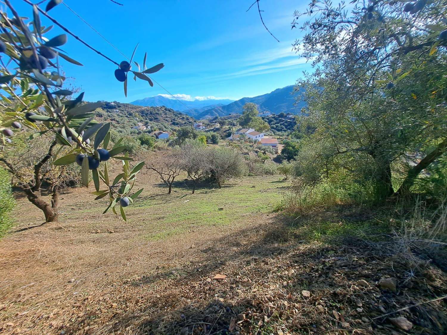 Finca en venta en Colmenar